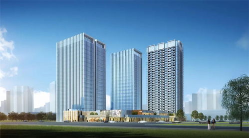 福永中晟会港湾 一份基于内部资料的深度价值分析报告