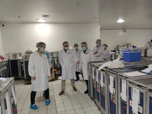 服务航空配餐企业，助力航空食品安全，承接档案服务外包