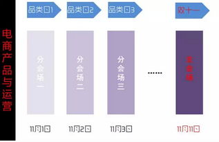 双十一电商大促流量承接与变现的产品设计分析——以档案服务外包为例